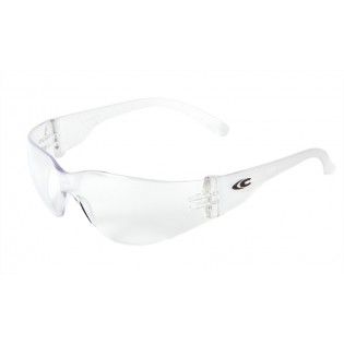 *GAFAS PROTECCION COFRA...