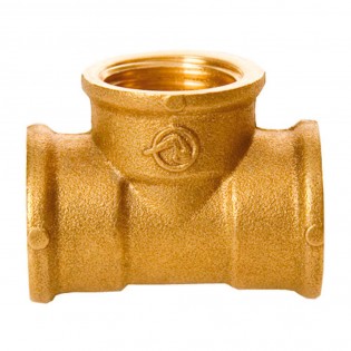 Te hembra hembra 3/4