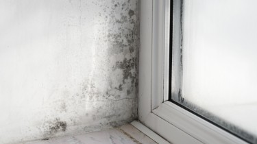 Moho y humedad: la pesadilla de muchos hogares según Soler & Palau