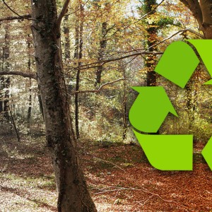 Se necesitan 200 árboles durante un año por cada aire acondicionado mal reciclado